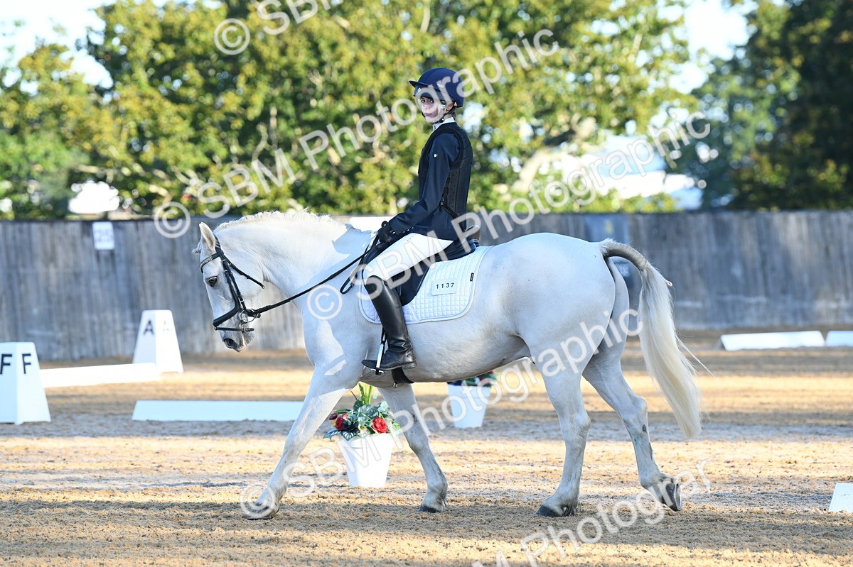 SBM_14265 - D4 - Small Tour Championship - Intro B