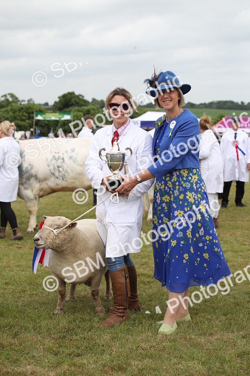 SBM_07887 - Grand Parade