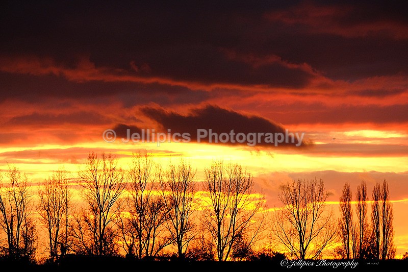  - Landscapes