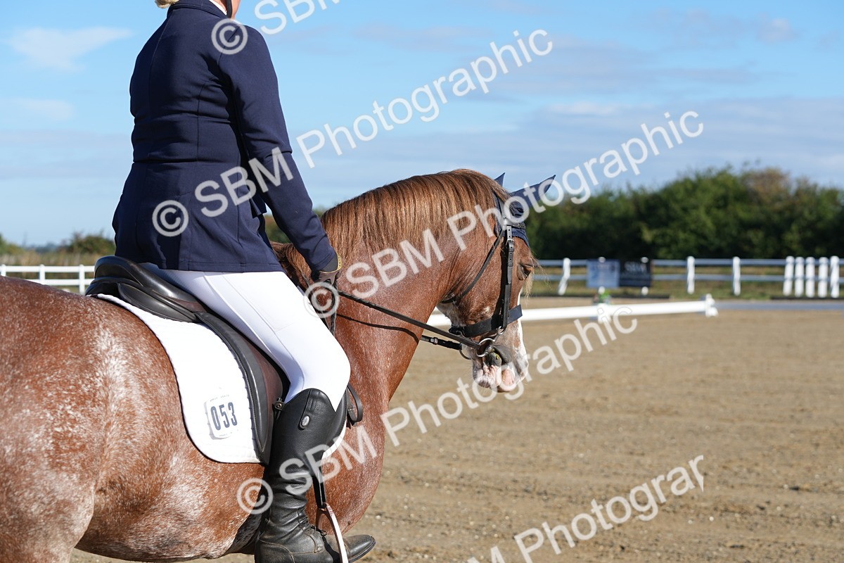 SBM_000277