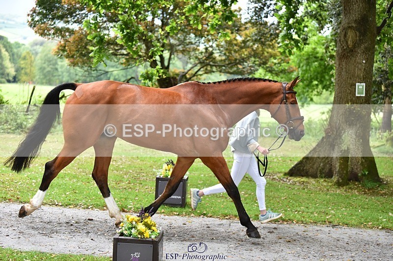 240522-160516-00703 - 152-MODRIX_DOR_VAN_DE_MISPELAERE-Annabel_Walsh