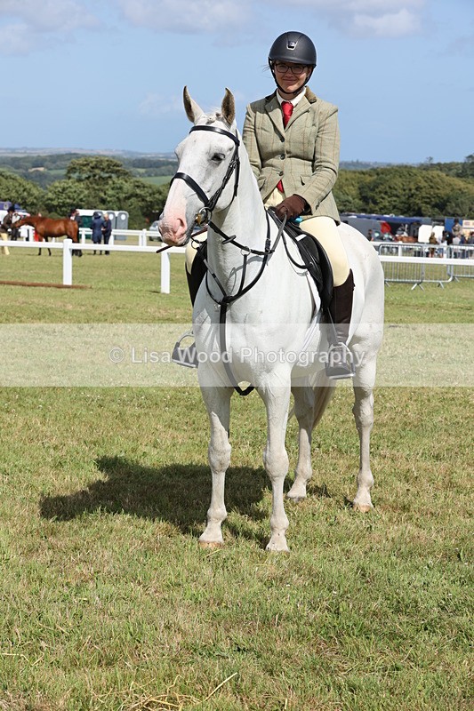 JPP_2464 - Class 19: Working Hunter 60cm