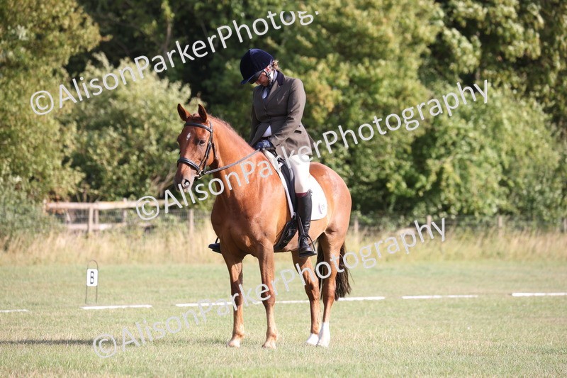 20250731-0025 - Class 2 - Prelim 3