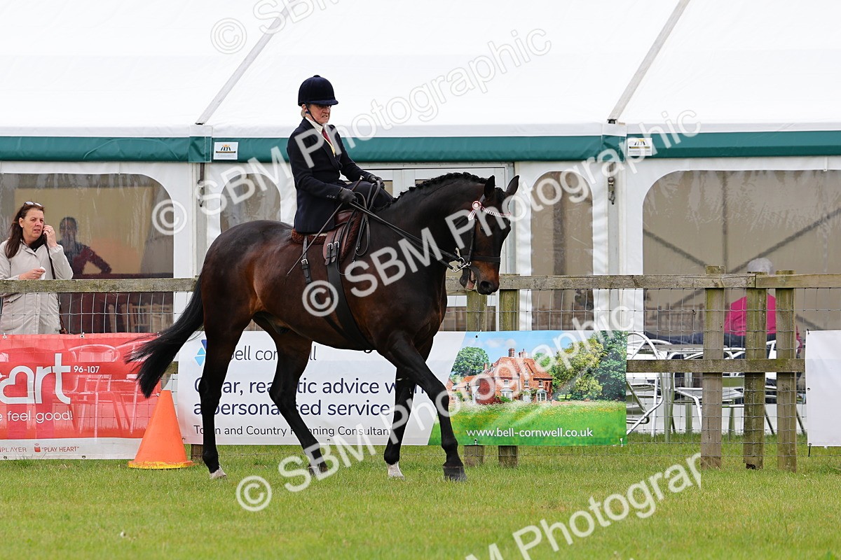 SBM_02955 - Class 9-11 Side Saddle including LIHS Rising Star Ladies Show Horse