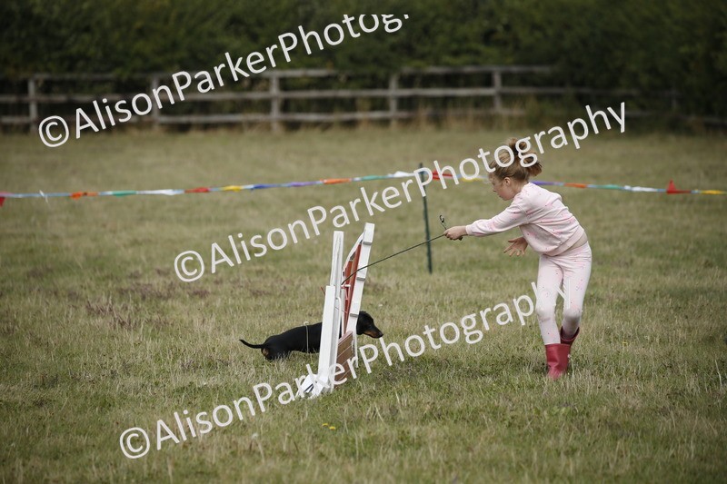 20250831-3901 - Dog Show