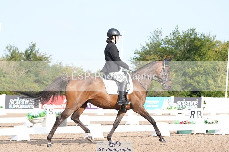 250815-090909-00032 - 005-Patricia.HaskinsGaelic.Surprise