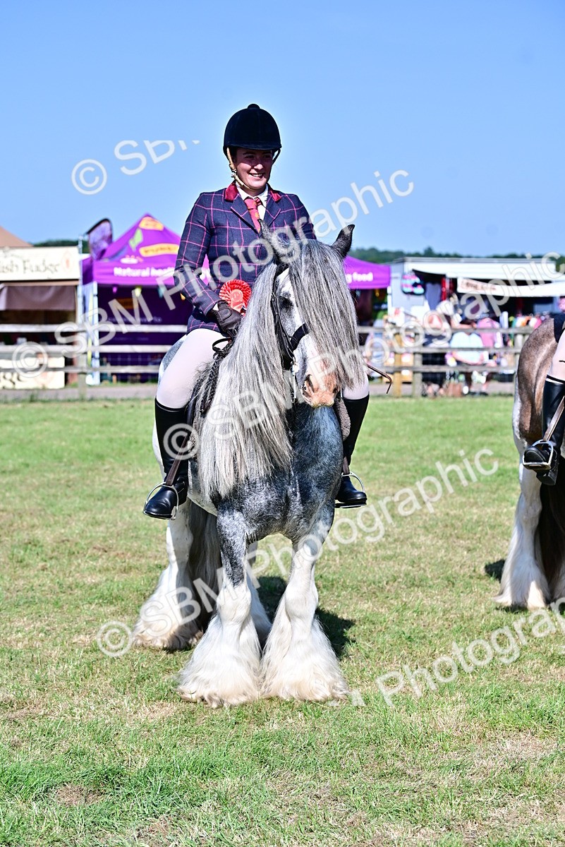 SBM_19458 - Class 101-102 - BSPS LIHS Performance Coloured Horse/Pony