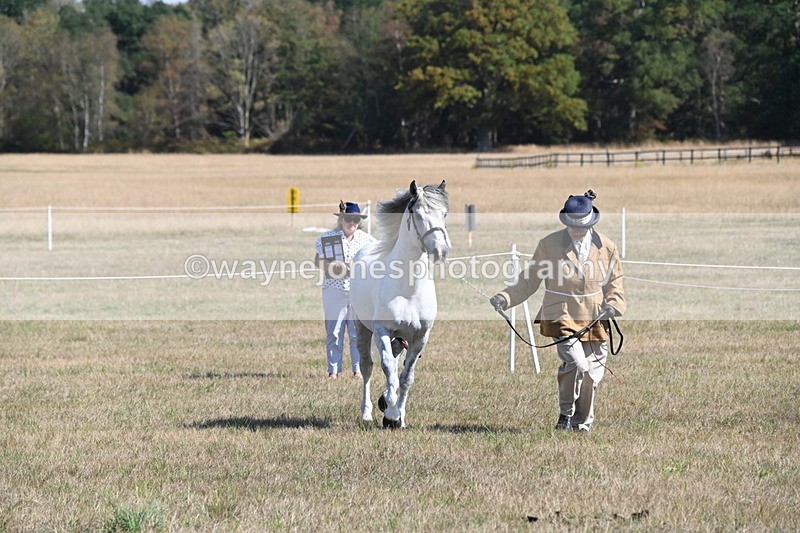 WJ6_4627 - Class 17 Mountain & Moorland