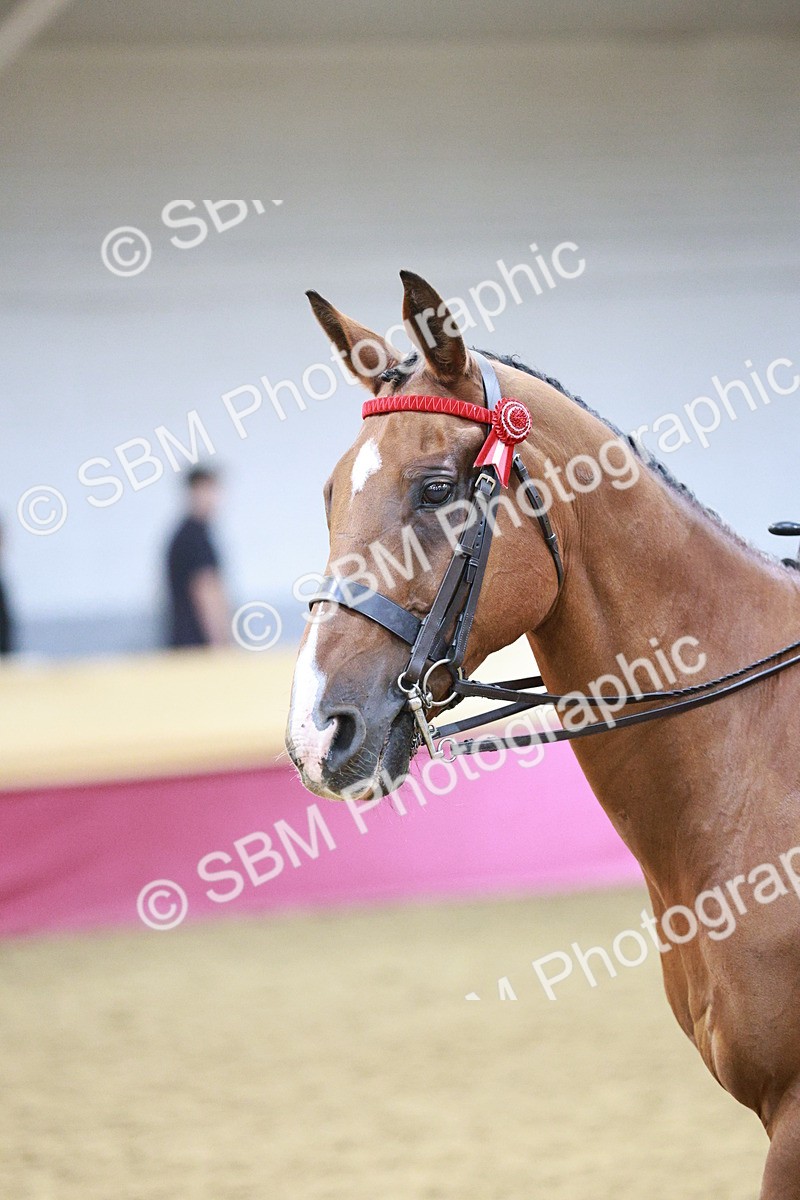 SBM_08181 - Class 11R - Regional Ridden Veteran