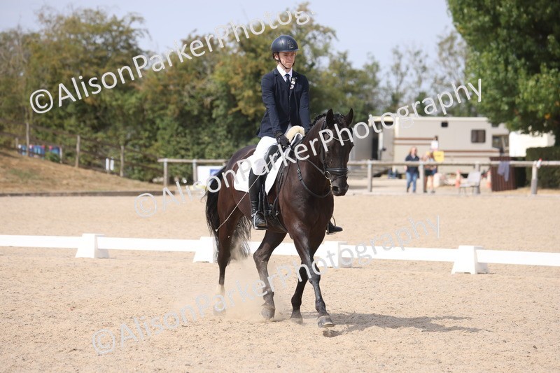 20260816-1081 - Class 4 - Novice 6