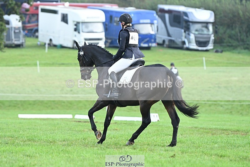 231020-094556-05758 - 464-IMPERIAL.TANGLE-Deborah.Burrell-DR