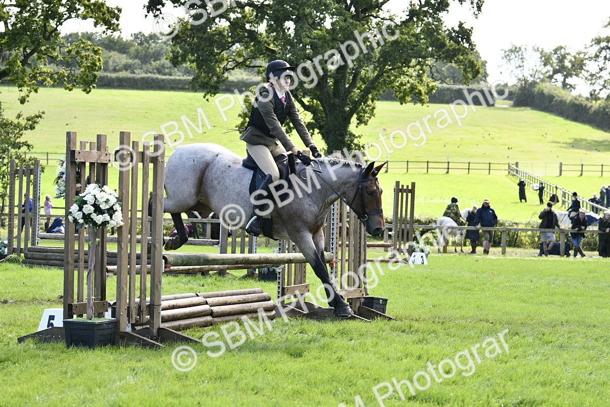 SBM_45665 - S33 - Working Hunter Pony