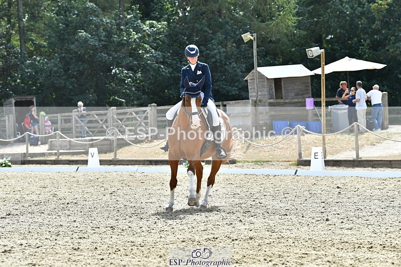 260802A-151755-07351 - Intermediate Bronze