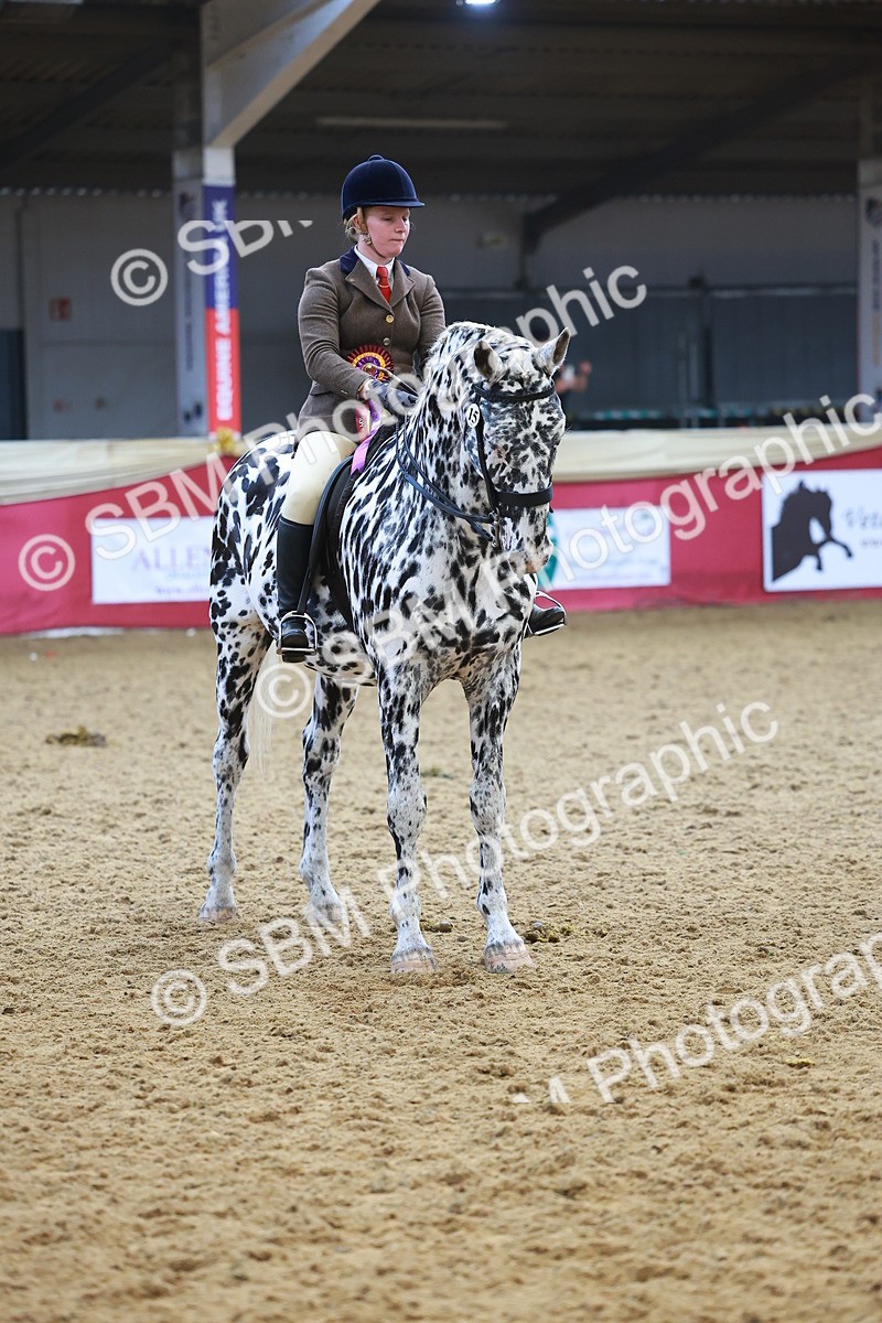 SBM_12707 - Class 103 - HOYS Veteran Qualifier - Ridden Pre Vet