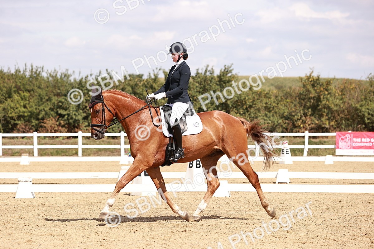 SBM_018470 - Class 17 - Novice 6