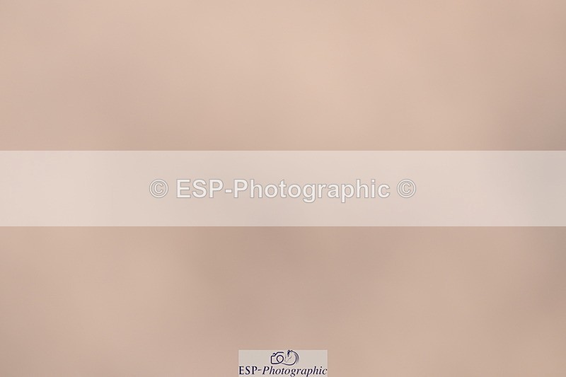 240622A-101513-08138 - Cls 28 BD Music Novice