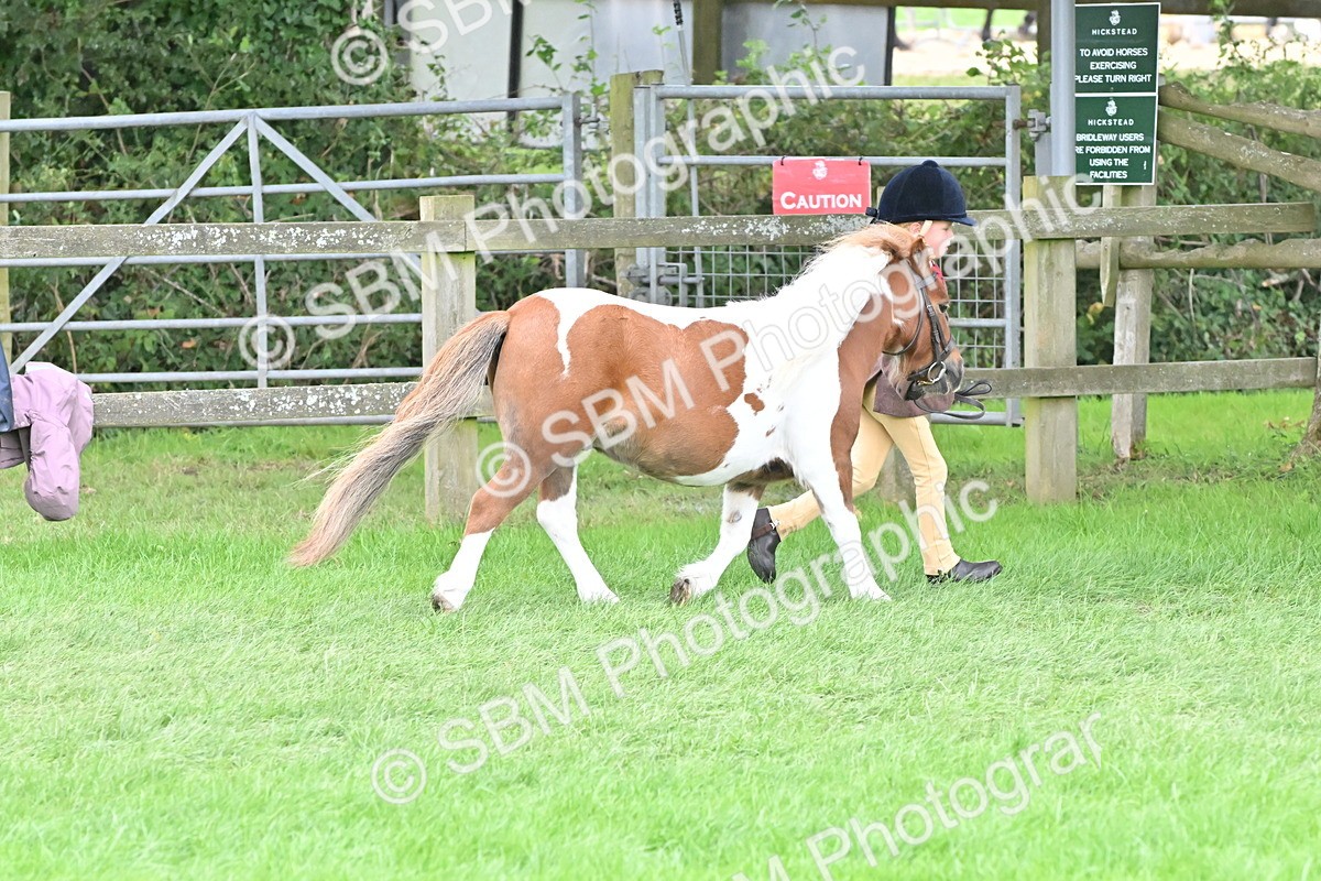 SBM_66781 - S41 - Junior Handler 8 Years & Under