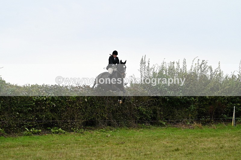 WJ7_4096 - Camera 1 Line 2