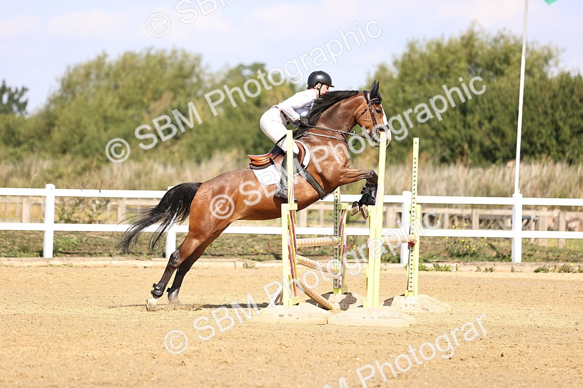SBM_005695 - Class 9 - Senior British Novice - 90cm