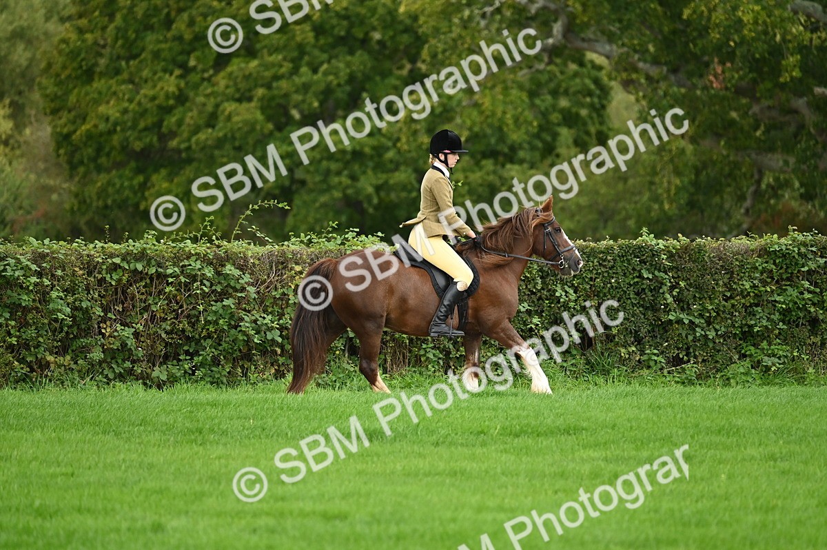SBM_02901 - S3 - TSR Ridden Pony Showing