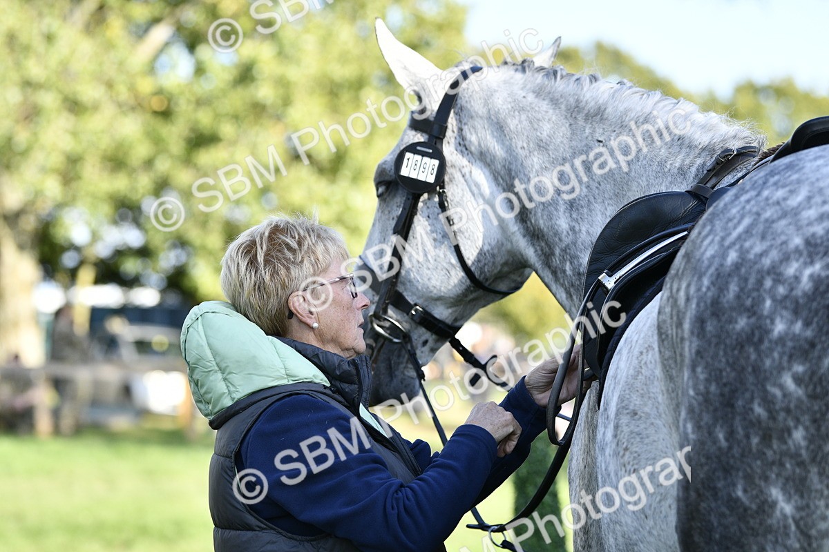 SBM_52229 - S35 - Working Hunter & Working Show Horse