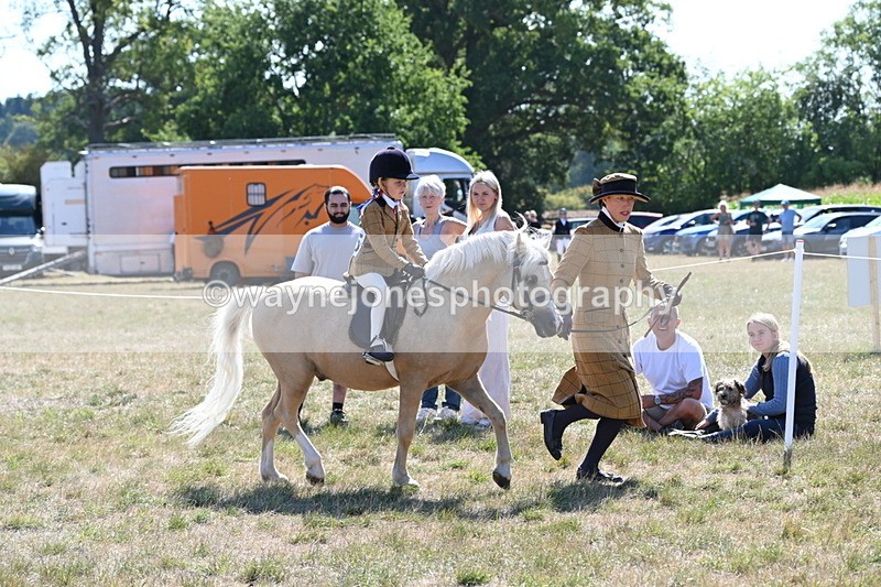 WJ6_7750 - Class 36 Lead Rein