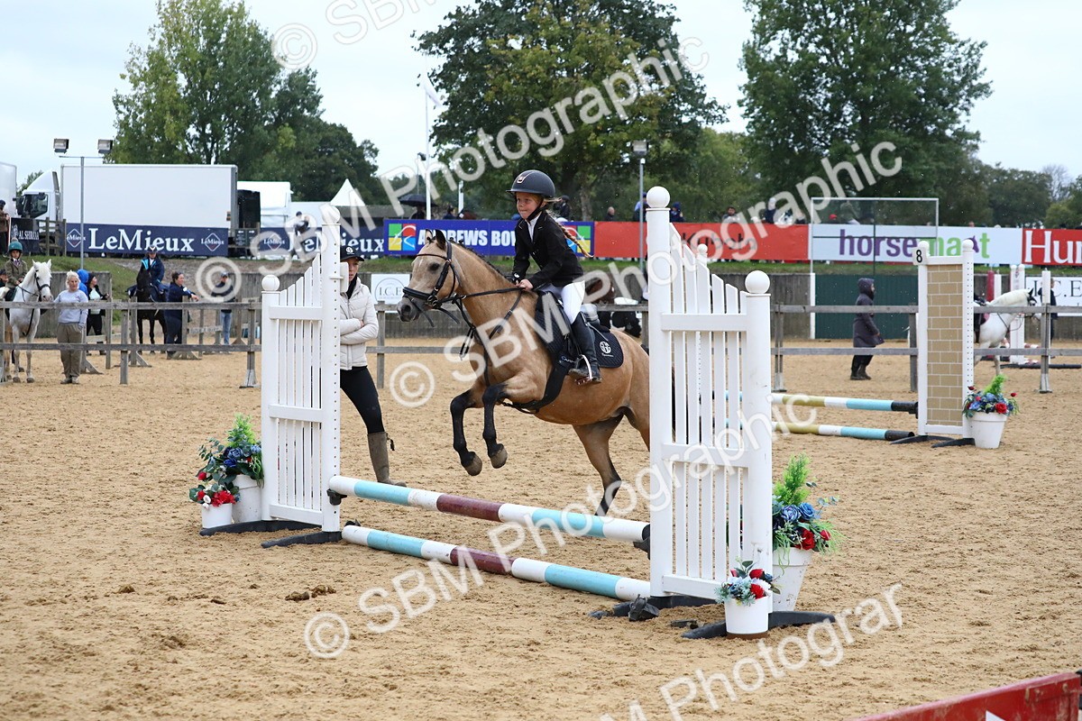 SBM_68398 - J3b - Mini Tour Junior Pony 40cm Championship