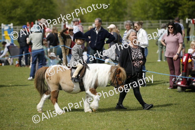 20260426-1823 - Class 7 - Pony Judge Would Most Like To Take Home