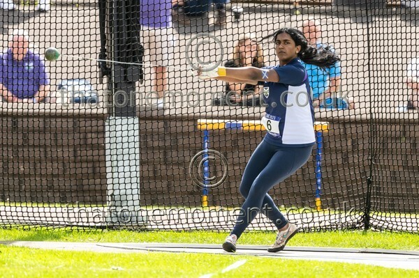 SIAB23-913023 - Field Female Set One