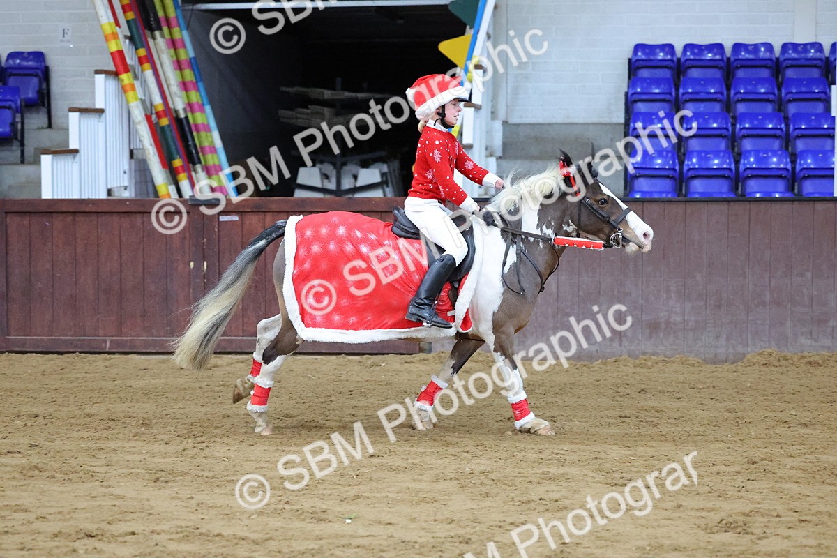 SBM_000121 - Class 1 - Show Jumping 50cm