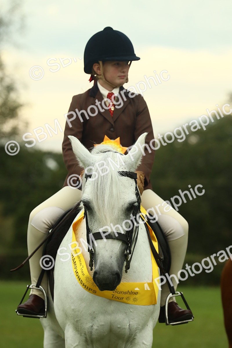 SBM_72317 - S60 - Mountain & Moorland Ridden Large Breeds