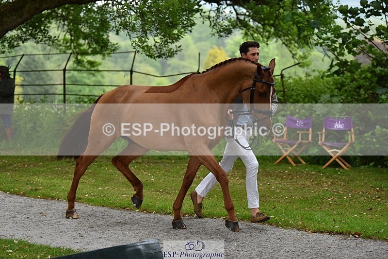 240522-150940-00130 - 311-CAMEE_DE_MUZE-Will_Rawlin