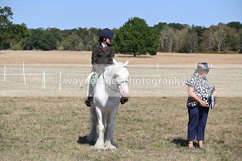 WJ6_9082 - Class 38 Ridden Riding Horse/Pony