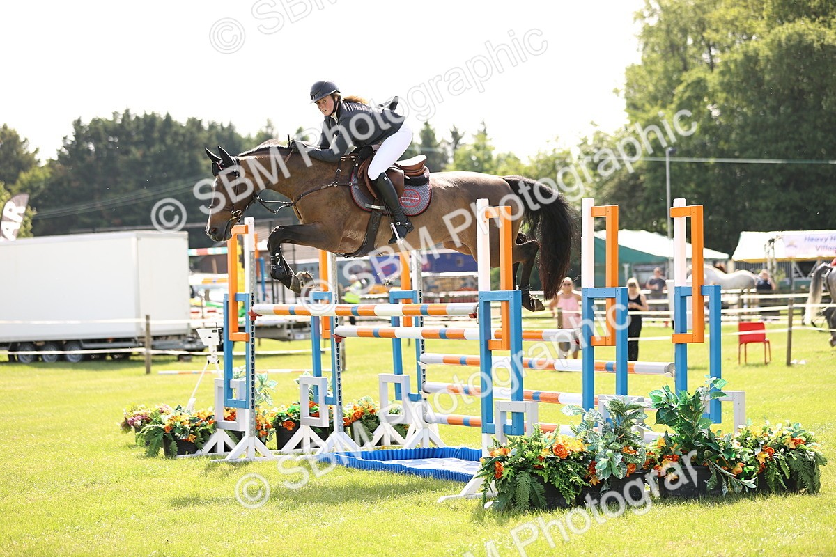SBM_02955 - Class 201 - British Horse Feedds Speedi Beet HOYS Grade C