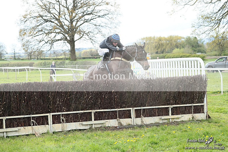 PtP 180426 566 - Worcestershire Hunt PtP Chaddesley Corbett 18/04/26