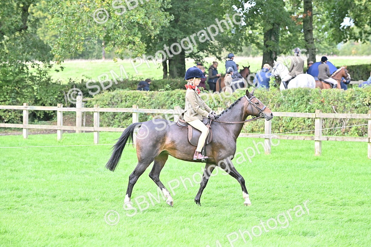 SBM_44472 - S13 - Pony Club Pony