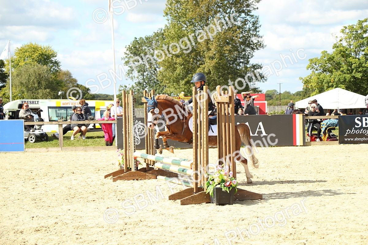 SBM_39454 - J6 - Junior Pony 55cm Championships