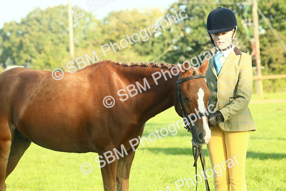 SBM_57486 - S37 - Starters In Hand Showing