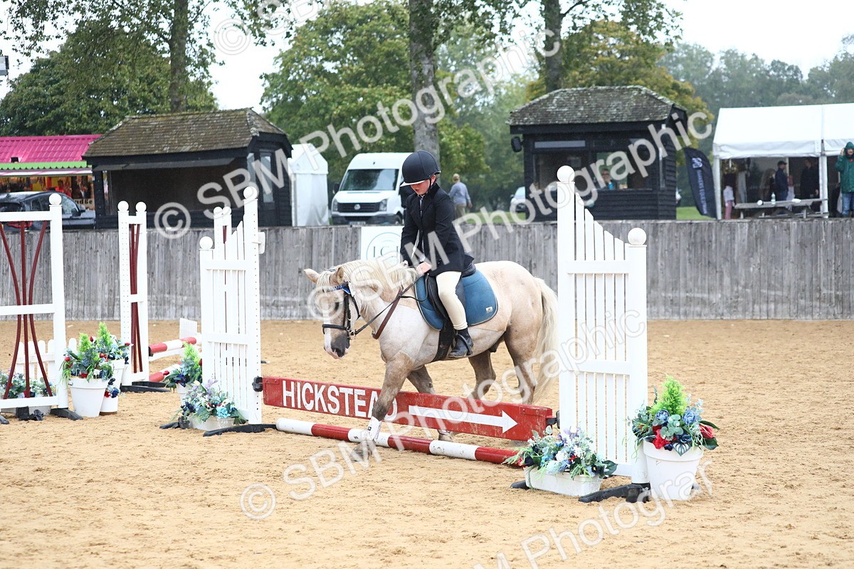 SBM_71580 - J4 - Mini Tour Junior Pony 45cm Championship