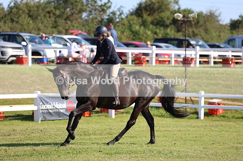 3E7A5390 - Class 2: Rising Star Large Hack/Riding Horse