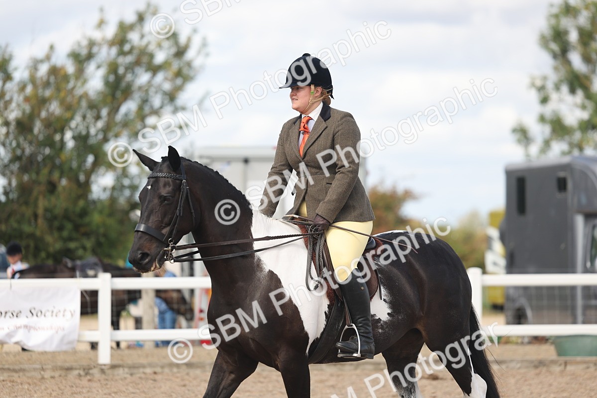 SBM_14832 - Class 308 - Ridden Coloured Horse