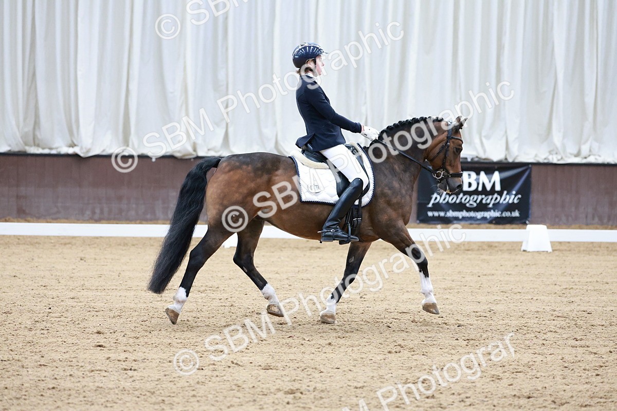 SBM_017132 - Class15 - FEI Pony