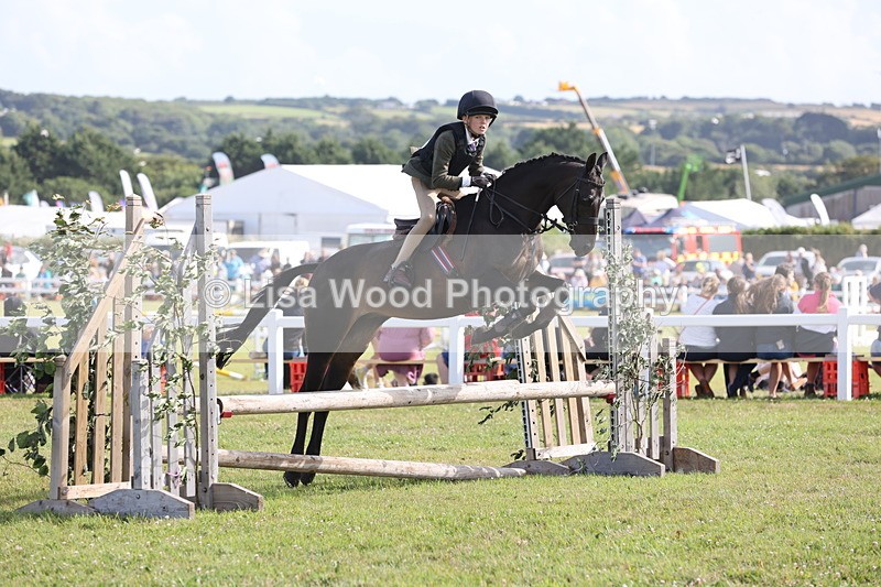 JPP_2779 - Class 20: Working Hunter 70cm