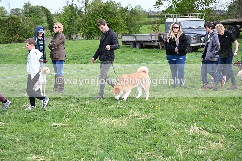 WJ6_8501 - Class 6 Best Rescue