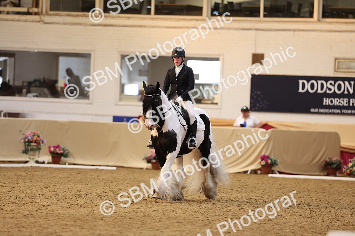 SBM_09281 - Class 51 - Dressage to music
