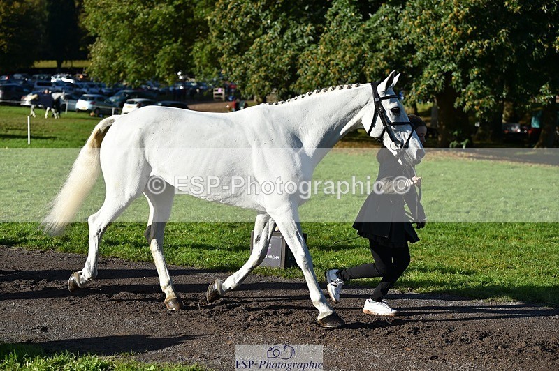 231022-101646-22369 - 455-GURTEEN.BARNEY-Georgie.Driver-TrotUp+SJ