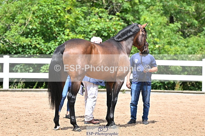 240718A-105307-01579 - Trot Up 1pm to 2pm