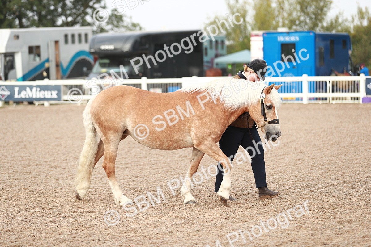 SBM_09487 - Class 201 Best Turned Out IH