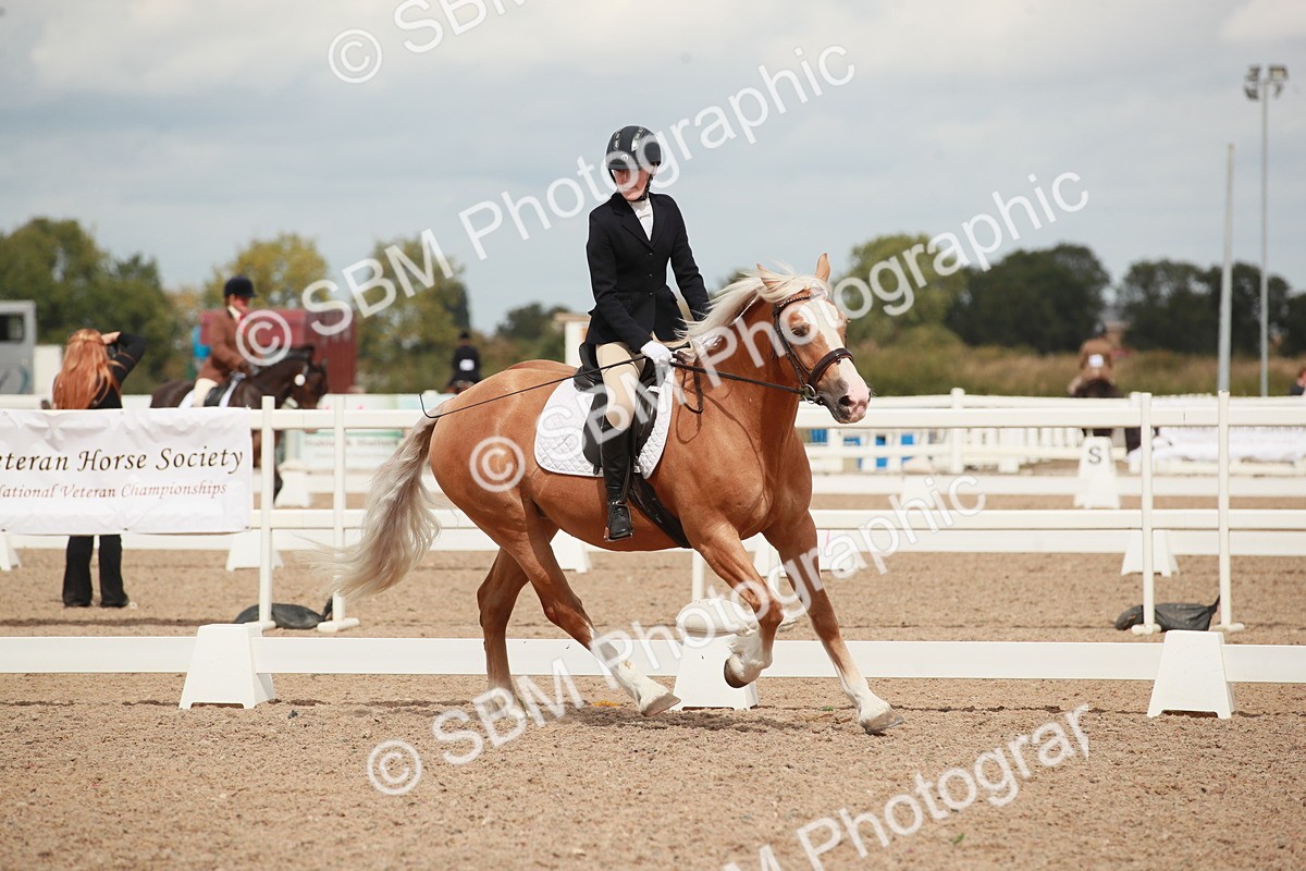 SBM_05891 - Class 32 - Novice 1