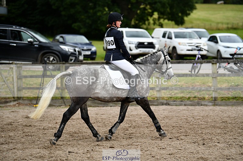 240825X-173339-37067 - 80cm SJ 16.00 to 17.26